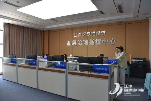 重慶江津區人民政府信息技術咨詢服務 驅動數字化轉型與區域發展